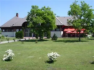 Sarga Csiko 2* Miskolc